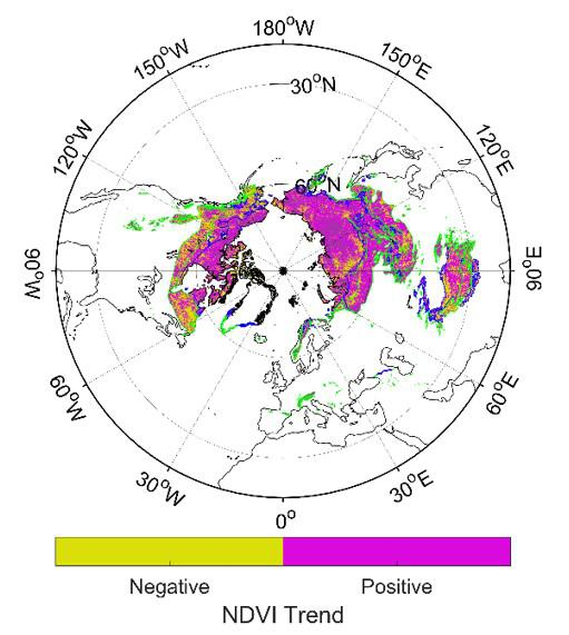 Distribution map of the relationship between vegetation and freeze-thaw changes in the Arctic (1982-2015)
