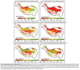 Soil carbon storage data of grassland in Qinghai Tibet Plateau (2009)