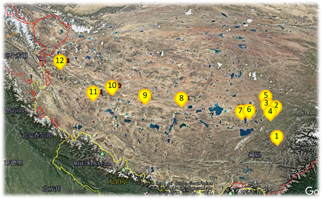 Data set of soil microbe in grassland of Qinghai Tibet Plateau (2017)
