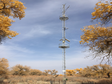 祁连山综合观测网：黑河流域地表过程综合观测网（混合林站自动气象站-2020）