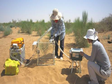 荒漠植物光合器官水平气体交换测定数据（2011）