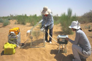The data of photosynthetic organ level gas exchange measurements of desert plants (2011)