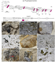 阿尔金吐格曼塔石萨依岩体全岩主微量、矿物年代学及相关地化数据