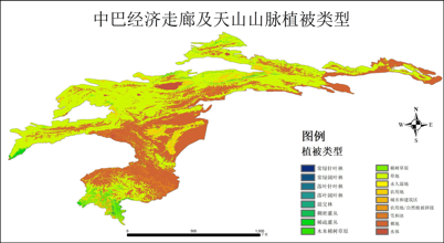 中巴经济走廊及天山山脉500m地表植被类型（2020）