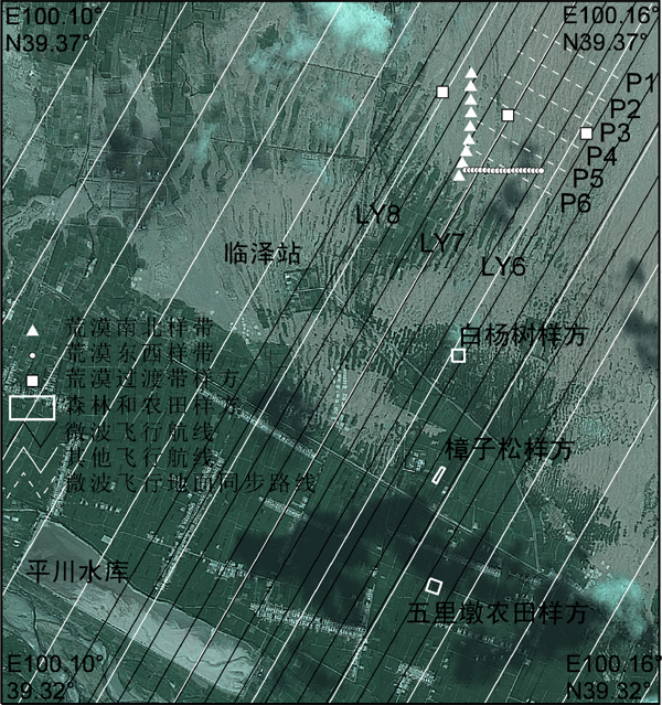 黑河综合遥感联合试验：临泽站加密观测区机载WiDAS地面同步观测数据集（2008年6月29日）
