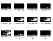 Vegetation optical depth (VOD) dataset in Tibetan Plateau (1993-2012)