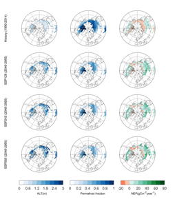 青藏高原和环北极地区冻土范围、冻土活动层厚度及碳通量模拟数据