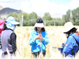 西藏一江两河区、藏东南、川西藏东横断山区农田农业管理数据集（2020）