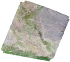 Drone orthophoto image and DSM of Qumalai wetland plot (2018)