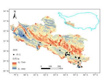 河湖源土壤理化性质数据集（2020）