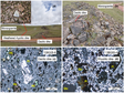 西藏中部班戈地区晚白垩世岩浆岩地球化学数据集