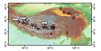 BrGDGT data sets of  lake surface sediments and  settling particles from Dagze Co in Qinghai Tibet Plateau