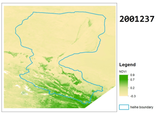 The cloud-free NDVI data in the Heihe River Basin (2001-2011)