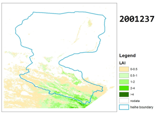 The cloud-free LAI dataset in the Heihe River Basin (2001-2011)
