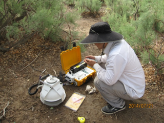黑河生态水文遥感试验：黑河下游Li-8100观测土壤呼吸数据集（2014年7月-8月）