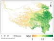 QTP-NDVI30: High spatiotemporal resolution (30-m and 8-d) NDVI time-series data during 2000-2020 for the Qinghai-Tibetan Plateau
