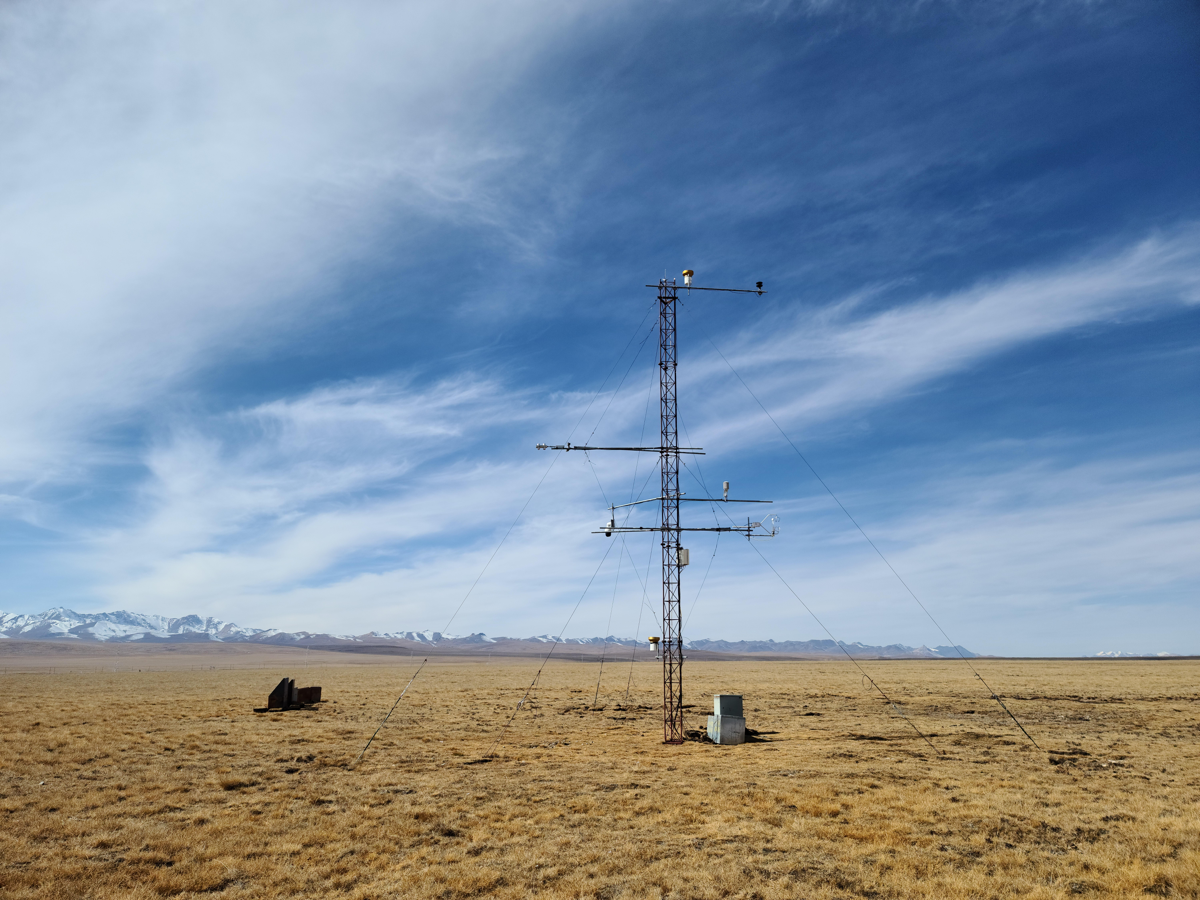 Qilian Mountains integrated observatory network: Dataset of Heihe integrated observatory network (automatic weather station of Dashalong station, 2020)