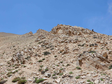 Stratigraphic column of Silurian at the Yalai 2 section in Nyalam, Tibet