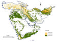 Thematic data on desertification of Western Asia (1990-2008)