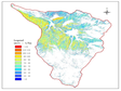 黑河天涝池流域森林生物量空间分布数据（2013年8月）