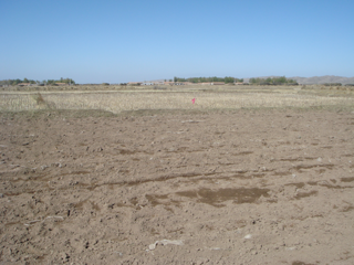 WATER: Dataset of ground truth measurements synchronizing with Envisat ASAR in the Biandukou foci experimental area during the pre-observation period  (Oct. 18, 2007) 