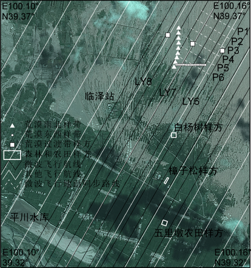 黑河综合遥感联合试验：临泽站加密观测区机载成像光谱仪OMIS-II地面同步观测数据集（2008年6月6日）