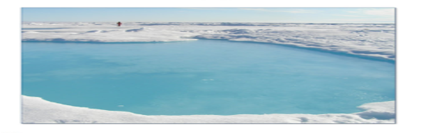 北极海冰融池覆盖度遥感反演数据集（2001-2022）V2.0