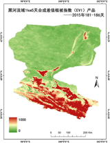 HiWATER: 1km/5day compositing vegetation index (NDVI/EVI) product of the Heihe River Basin, 2015