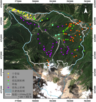 Soil physical properties - soil bulk density and mechanical composition dataset of Tianlaochi Watershed in Qilian Mountains