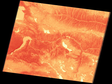 青藏高原Landsat系列卫星地表温度产品（2020）