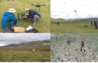 Hyperspectral remote sensing data of typical vegetation along Sichuan Tibet Railway (2019)