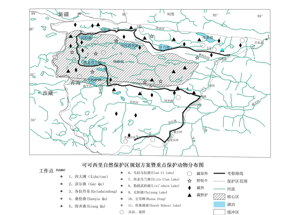 青海可可西里地区的哺乳类（1990年5月至8月）