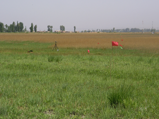 WATER: Dataset of ground truth measurement synchronizing with ALOS PALSAR in the Linze grassland foci experimental area on June 10, 2008