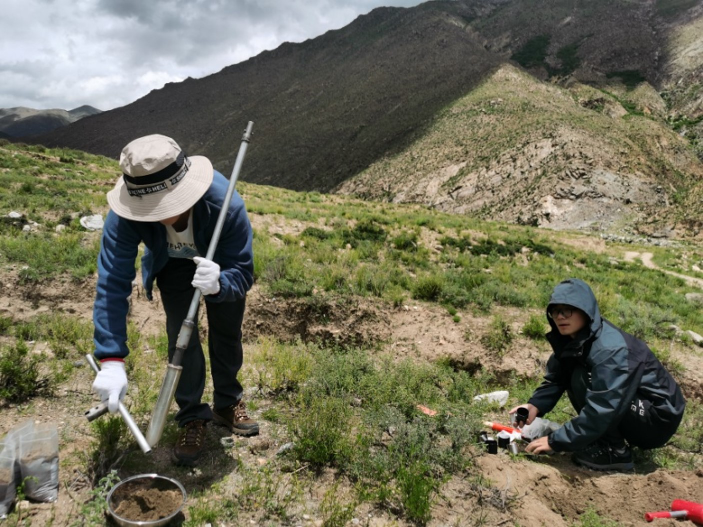 Data set of soil physicochemical in Qinghai-Tibet Plateau (2019-2021)