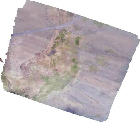 Drone orthophoto image and DSM of Qumalai alpine meadow plot (2018)