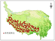 Field investigation of elements (carbon, nitrogen, phosphorus, sulfur, potassium) of vegetation in the Water tower area of Qinghai Tibet Plateau and Himalayan Mountains (2020s)