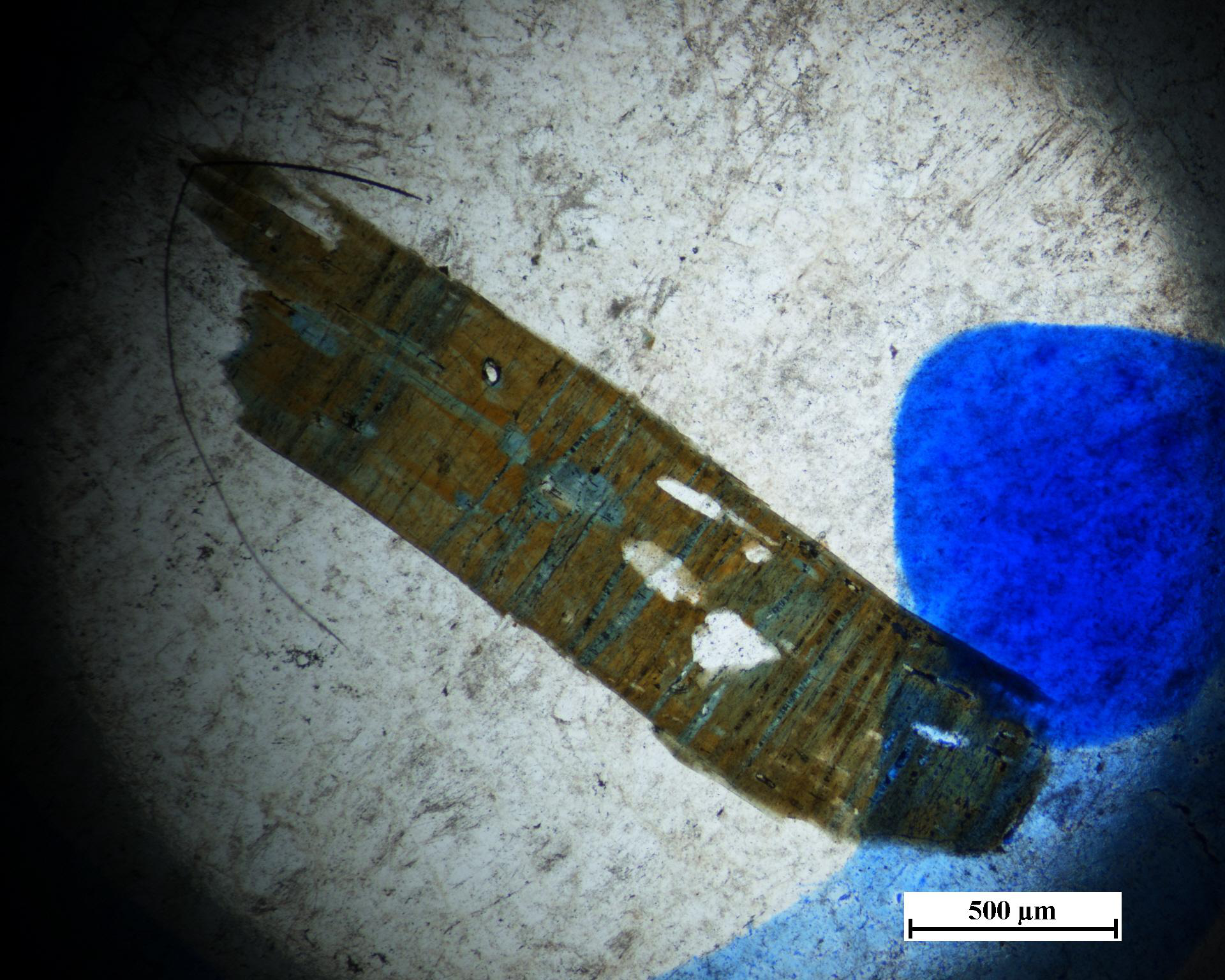 Electron microprobe analysis of tourmaline granite in cuonadong dome of Himalayan dome belt