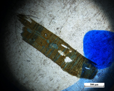 Electron microprobe analysis of tourmaline granite in cuonadong dome of Himalayan dome belt