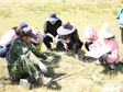 青藏高原城镇化地区生物多样性调查数据集（2020）