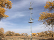 Qilian Mountains integrated observatory network: Dataset of Heihe integrated observatory network (eddy covariance system of mixed forest station, 2020)