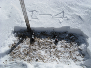 WATER: Dataset of ground truth measurements for snow synchronizing with airborne microwave radiometers (K&Ka bands) mission in the Binggou watershed foci experimental area on Mar. 29, 2008