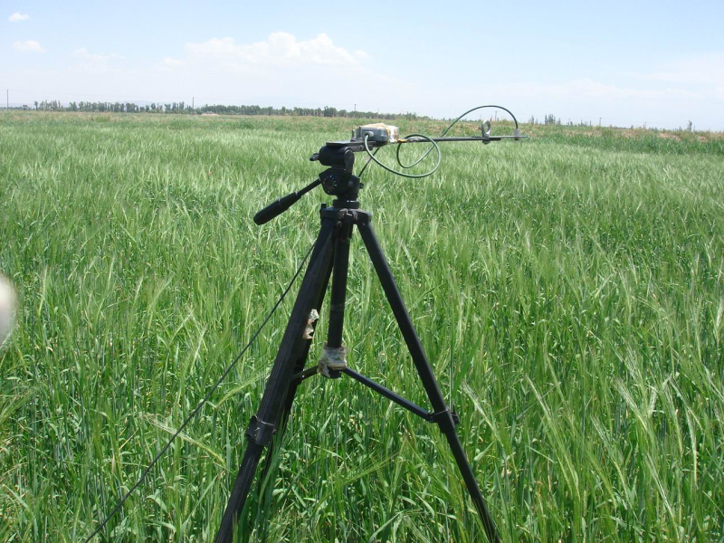 黑河综合遥感联合试验：临泽草地加密观测区连续地表辐射温度观测数据集