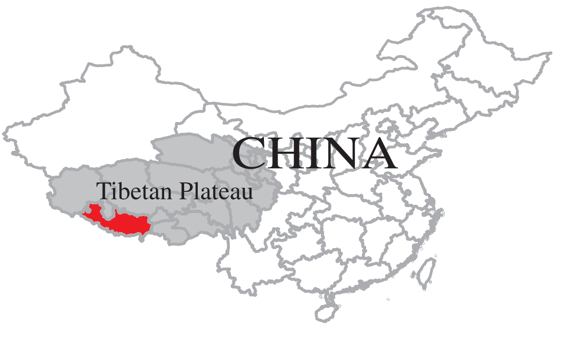 Y chromosome SNP and STR data of Tibetans from Shigatse (2016-2019)