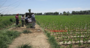 Soil moisture data of a farmland and its side during the period of irrigations in Yingke irrigation district (2012)