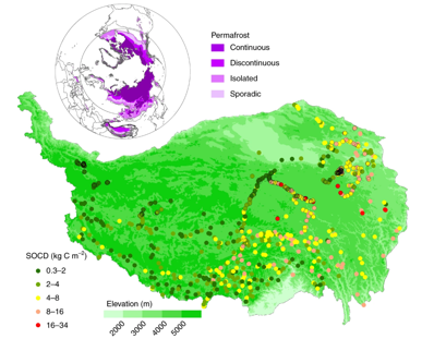 青藏高原3m深度土壤碳库格点数据（2019）