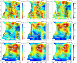 The three-dimensional S-wave velocity and azimuthal anisotropic model beneath the Sanjiang region
