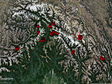 雅鲁藏布江大峡谷国家级自然保护区兽类物种多样性采样清单（2020）