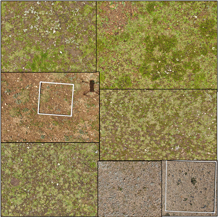 Survey photos of vegetation sample plots for the second comprehensive scientific expedition on the Qinghai-Tibet Plateau in Ali-Nagqu area, Tibet (2019-2020)