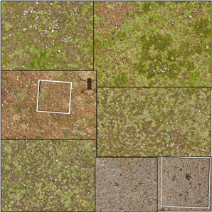 Survey photos of vegetation sample plots for the second comprehensive scientific expedition on the Qinghai-Tibet Plateau in Ali-Nagqu area, Tibet (2019-2020)