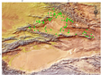 准噶尔盆地沙蜥属和麻蜥属物种名录及其分布数据